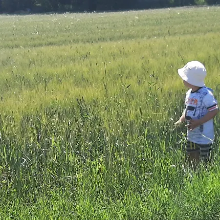 Casa de hóspedes Regina Di Cuori 3*