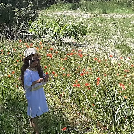 Casa de hóspedes Regina Di Cuori SantʼElpidio a Mare