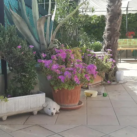 Regina Di Cuori