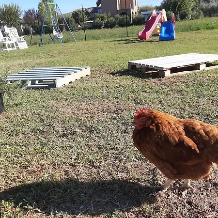 Regina Di Cuori Casa de hóspedes 3*