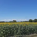 Regina Di Cuori Gasthuis