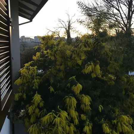 Gasthuis Regina Di Cuori SantʼElpidio a Mare