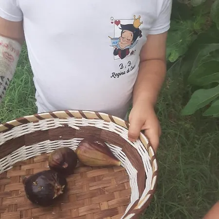 Regina Di Cuori Maison d'hôtes