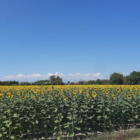 Regina Di Cuori Vendégház