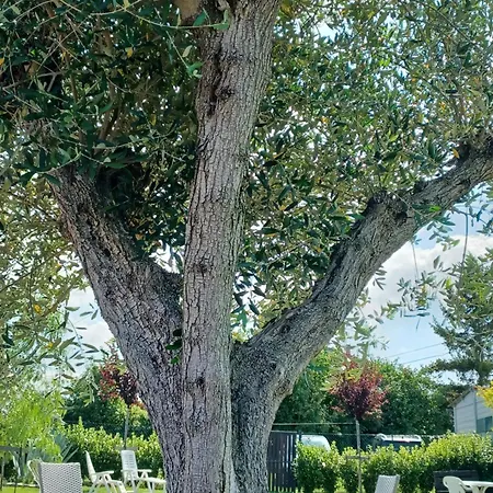 Pensjonat Regina Di Cuori 3*